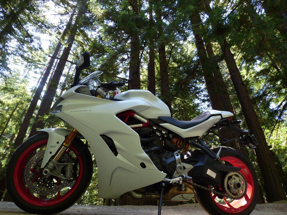 Ducati SuperSport S in the redwoods