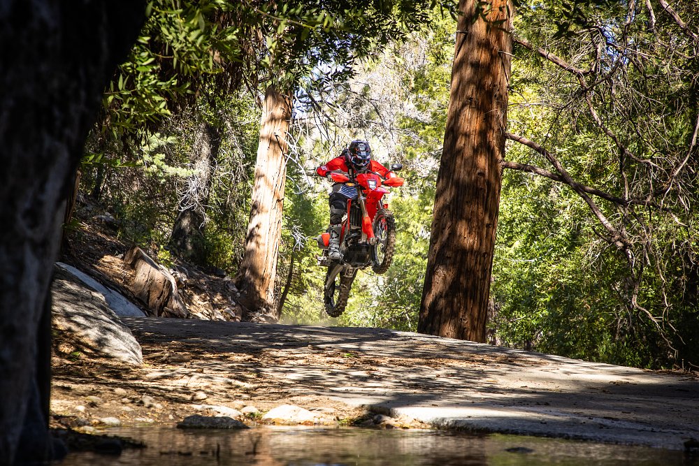 CRF450RL wheelying between trees.