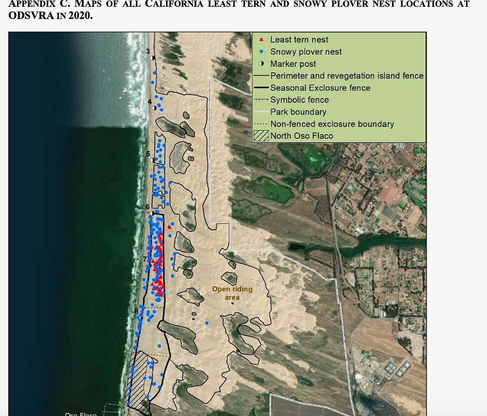 A satelittle map graphic shows spots where the western snowy plover likes to nest on oceano dunes