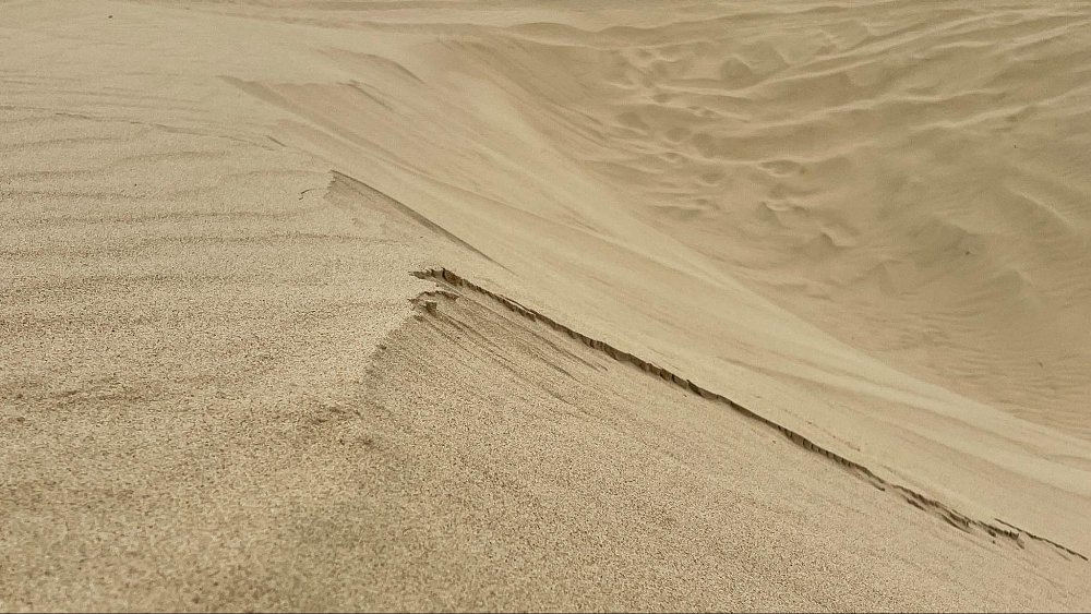 A close up photo of the sand dune, where one scientist claims it has a crust on top, another scientist refutes this claim