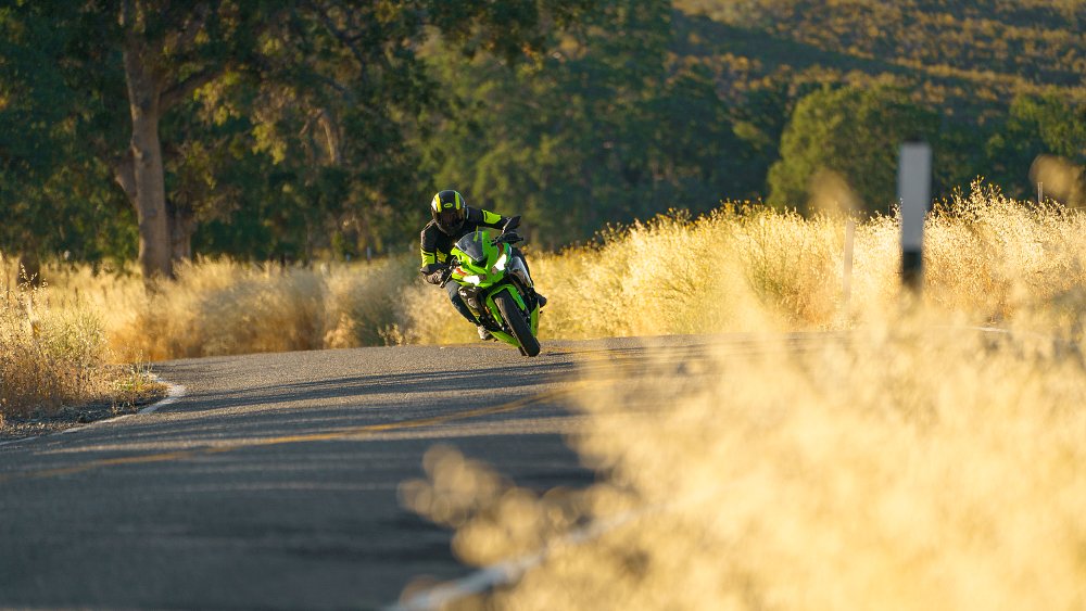 A 2023 Kawasaki ZX-4RR on a country road, riding toward camera with golden grass lit on either side.